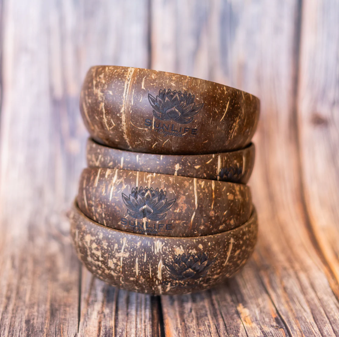 Coconut Shell Bowl - Image 2